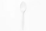 Compostable Spoon