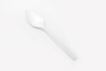 Compostable Spoon